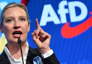 afd