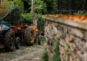 ΟΣΔΕ 2026: Μέσω myAGRO η Ενιαία Αίτηση Ενίσχυσης