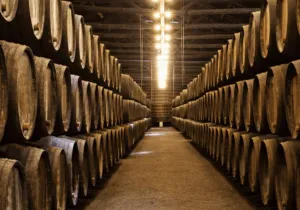 BGS ALCOHOLS: 7,6 εκατ. ευρώ από το Τ. Ανάκαμψης για τη νέα μονάδα στην Πάτρα