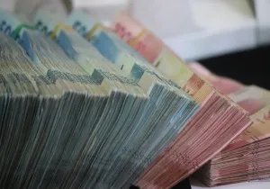 Μάνδρα: Σε 20 ημέρες οι πρώτες οικονομικές ενισχύσεις στους πυρόπληκτους