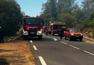 Πυρκαγιές στη Δυτική Αττική:  Διαδοχικά μηνύματα 112 για απομακρύνσεις πολιτών