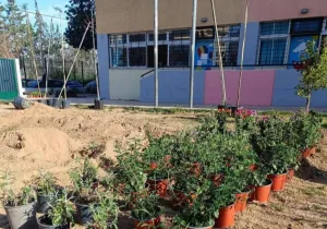 Δήμος Αθηναίων: 43 σχολικές αυλές γίνονται πιο πράσινες και πιο δροσερές