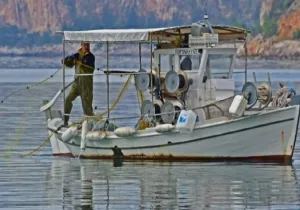 Ελληνική αλιεία: Στην ψηφιακή εποχή το πλαίσιο ελέγχου και λειτουργίας του κλάδου