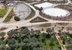 Ανάπλαση Ελαιώνα: Παράταση του Αρχιτεκτονικού Διαγωνισμού Ιδεών 