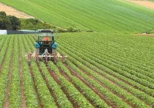 ΕΛΓΑ: Πάνω από 2 δισ. ευρώ οι αποζημιώσεις σε έξι χρόνια – Στο επίκεντρο η κλιματική κρίση