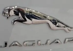 jaguar