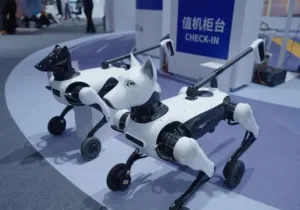robot