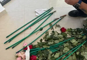 ΑΑΔΕ: Κύκλωμα έκρυβε 84 κιλά κοκαΐνης μέσα σε τριαντάφυλλα