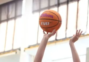 basket