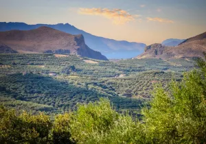 99 ακίνητα, συνολικής έκτασης 2,26 εκατ. τ.μ. – Νέα ψηφιακή υπηρεσία για την υποβολή αιτήσεων