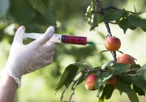 ΙΝΚΑ: Να αρνηθεί η χώρα μας τις νέες προτάσεις της ΕΕ υπέρ των μεταλλαγμένων 