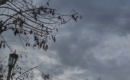 Καιρός: Τοπικές βροχές, δυνατοί άνεμοι και θερμοκρασία έως 24 βαθμούς Κελσίου