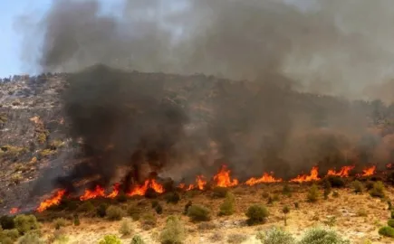 Πυροσβεστική: 47 αγροτοδασικές πυρκαγιές το τελευταίο 24ωρο