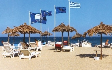 Δυνατότητα προσωρινής παραχώρησης χρήσης σε επιχειρήσεις που έχουν υποβάλει εμπρόθεσμα αίτηση