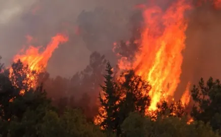Δεκάδες χιλιάδες κάτοικοι εγκαταλείπουν τις εστίες τους από μεγάλη πυρκαγιά στη Νεβάδα