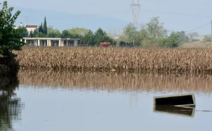 Πανεπιστήμιο Θεσσαλίας: Μία από τις κύριες επιπτώσεις της κλιματικής αλλαγής είναι η εμφάνιση ακραίων καιρικών φαινομένων 