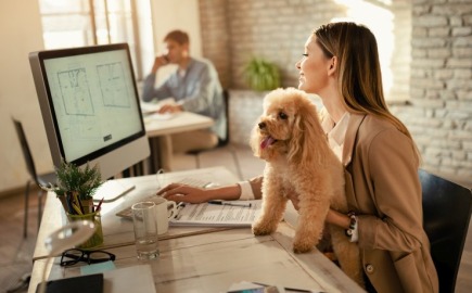 Pet-friendly εργασία: 64% των Ελλήνων θα άλλαζε δουλειά για να έχει μαζί το κατοικίδιό του