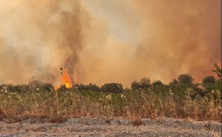 Κως: Οριοθετήθηκε η φωτιά μετά την ολονύχτια μάχη