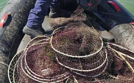 Θεσσαλονίκη: Εντοπίστηκαν και κατασχέθηκαν 96 ιχθυοπαγίδες στον Θερμαϊκό Κόλπο