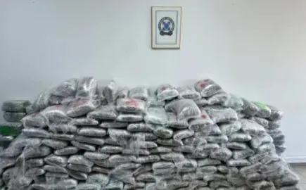 Εγκληματική οργάνωση έκρυβε κάνναβη σε φορτία χαρτιού προς ανακύκλωση-Πώς δρούσε 