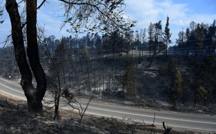 Χαλκιδική: Στα 2.480 στρέμματα η περίμετρος της καμένης εκτασης από την πυρκαγιά στη Σίβηρη