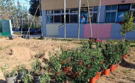 Δήμος Αθηναίων: 43 σχολικές αυλές γίνονται πιο πράσινες και πιο δροσερές