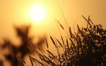 Η ηλιακή ενέργεια «έσωσε» το ευρωπαϊκό δίκτυο στους καύσωνες – Αυξήθηκε έως και 17% η παραγωγή