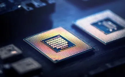 chip