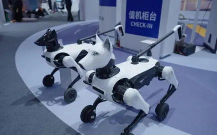 robot