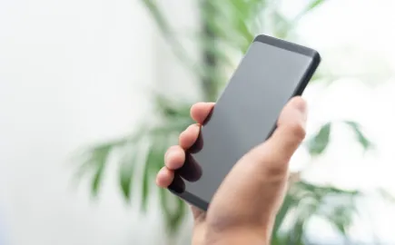 smartphone