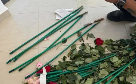 ΑΑΔΕ: Κύκλωμα έκρυβε 84 κιλά κοκαΐνης μέσα σε τριαντάφυλλα