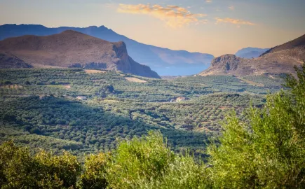 99 ακίνητα, συνολικής έκτασης 2,26 εκατ. τ.μ. – Νέα ψηφιακή υπηρεσία για την υποβολή αιτήσεων