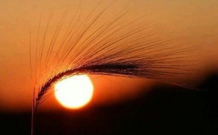 Καιρός: 9 στους 12 μήνες με θερμοκρασίες υψηλότερες από το κανονικό