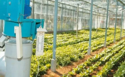 Κίνα: Διευρύνει την γκάμα των ειδικών αγροτικών προϊόντων εξαιρετικής ποιότητας