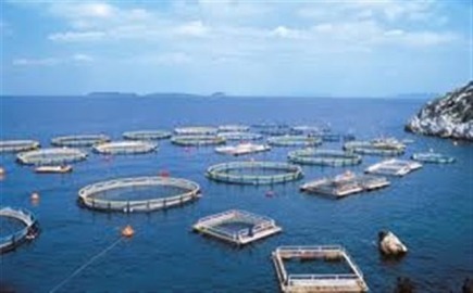 Η Aqua Bridge προτίμησε να αποφύγει νομικές εμπλοκές και δικαστικές αντιπαραθέσεις 