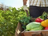 Έγινε πάλι ελλειματικό το εμπορικό ισοζύγιο στα αγροτικά προϊόντα