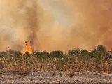 Μάχη με τα πύρινα μέτωπα σε Αττική, Βοιωτία και Φωκίδα - Νέα φωτιά στην Κεφαλονιά