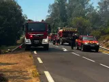 Πυρκαγιές στη Δυτική Αττική:  Διαδοχικά μηνύματα 112 για απομακρύνσεις πολιτών