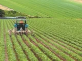 Άλμα 13% στα αγροτικά προϊόντα: Φόβοι για νέο πληθωριστικό κύμα στα τρόφιμα