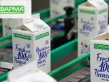 Εβροφάρμα -γαλακτοκομικά: Μεγάλη αύξηση της κερδοφορίας