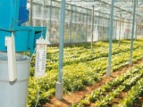 FAO: Ερχεται κρίση στις αγορές τροφίμων, αν δεν ανοίξουν τα Στενά του Ορμούζ
