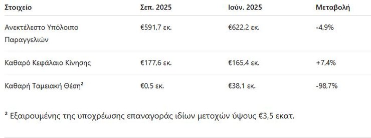 Theon, Ισολογισμός και Ταμειακή Θέση