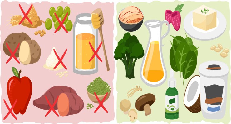 vegan keto διαιτα: τι τρώμε, τι όχι